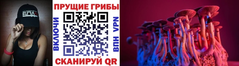 Псилоцибиновые грибы мицелий  Белогорск 